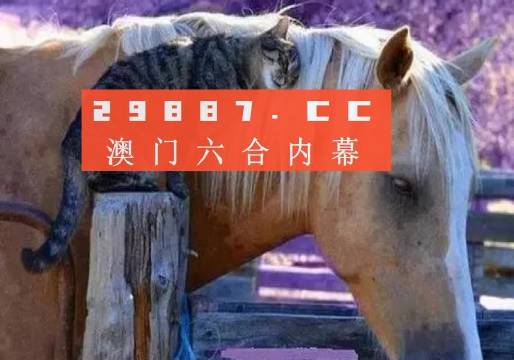 澳門必中一肖一碼四不像——揭秘背后的違法犯罪問題，澳門一肖一碼四不像，揭秘背后隱藏的違法犯罪真相