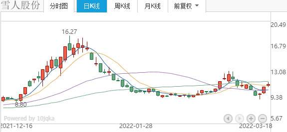 雪人股份還會大漲嗎，深度分析與展望，雪人股份未來走勢展望，大漲可能性深度分析