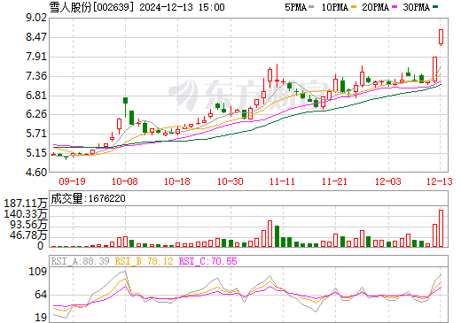 雪人股份重組最新消息深度解析，雪人股份重組最新動態(tài)深度剖析