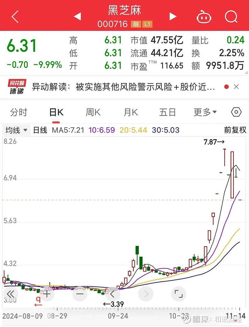 黑芝麻股票值得長(zhǎng)期持有嗎？深度解析與前景展望，黑芝麻股票長(zhǎng)期持有價(jià)值深度解析與前景展望