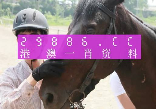 晚上澳門一肖一碼必中一肖，揭示背后的真相與風(fēng)險(xiǎn)警示，澳門一肖一碼背后的真相與風(fēng)險(xiǎn)警示揭秘