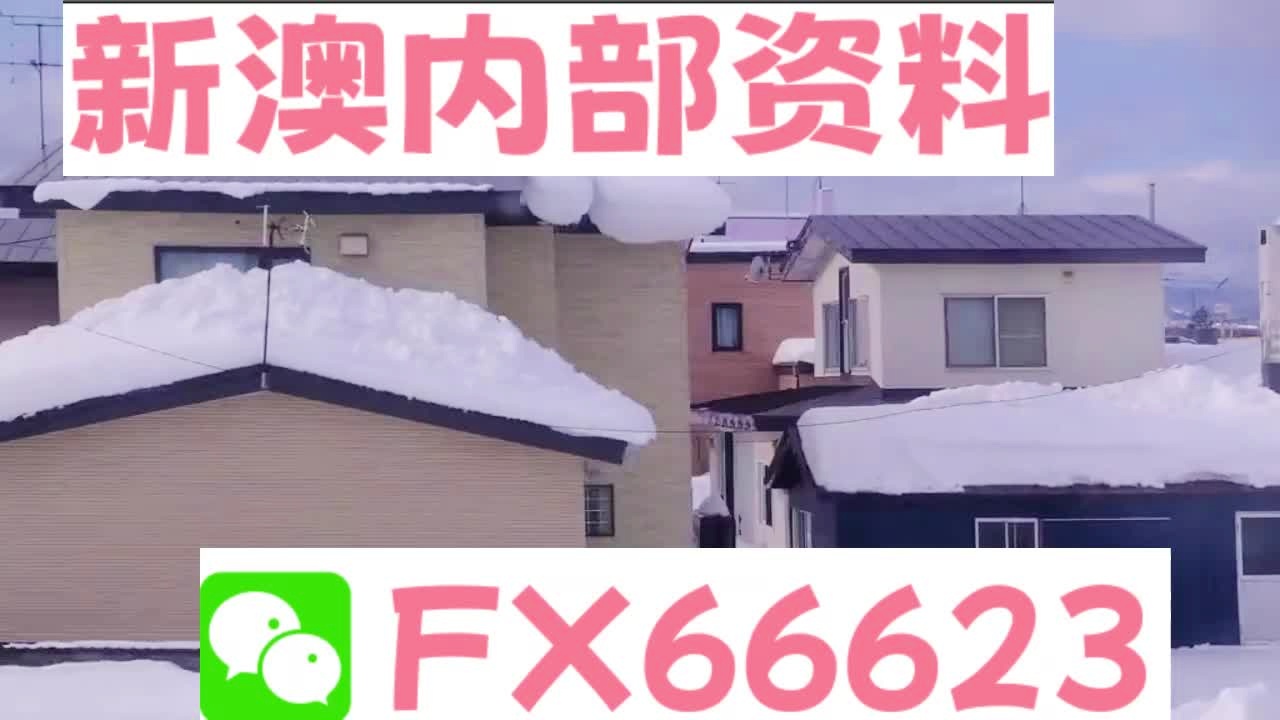 新奧天天精準(zhǔn)資料大全，深度解析與實(shí)際應(yīng)用，新奧天天精準(zhǔn)資料大全，深度解析及實(shí)際應(yīng)用指南