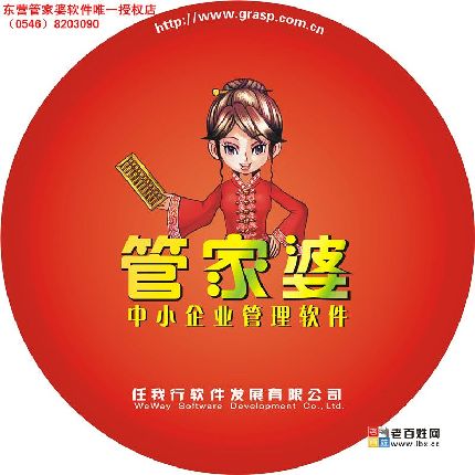 管家婆正版管家的魅力與價(jià)值，管家婆正版管家的核心魅力與實(shí)用價(jià)值