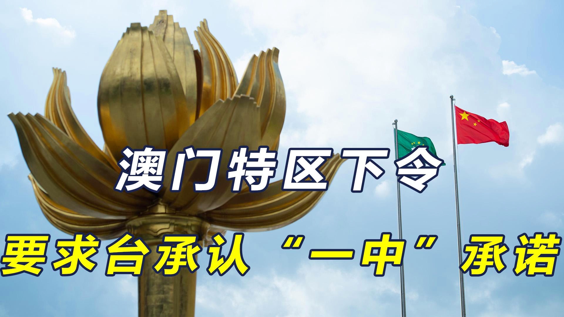 澳門一碼一肖一恃一中與違法犯罪問題，澳門一碼一肖一恃一中與違法犯罪問題探討