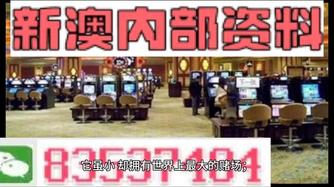 新澳2024正版資料免費公開，揭秘彩票行業(yè)的秘密與機遇，揭秘彩票行業(yè)秘密與機遇，新澳2024正版資料免費公開