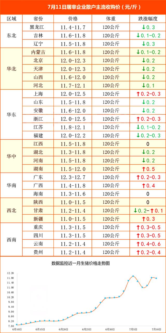 12月豬價(jià)暴跌令養(yǎng)殖戶措手不及——行業(yè)分析與應(yīng)對(duì)策略，12月豬價(jià)暴跌背后的行業(yè)分析與應(yīng)對(duì)策略