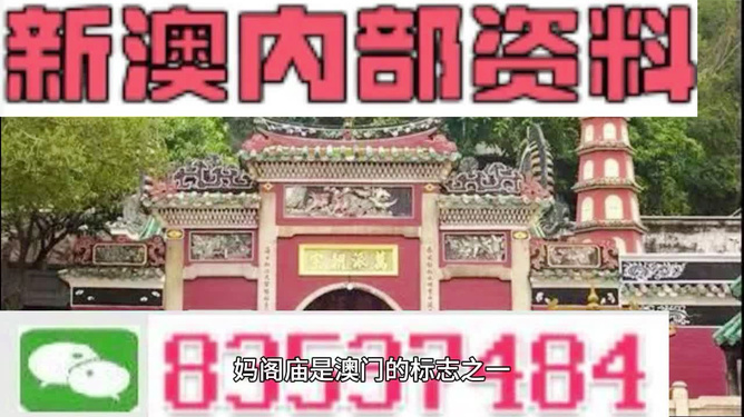 澳門三肖三碼精準(zhǔn)100%黃大仙與犯罪行為的關(guān)聯(lián)，澳門三肖三碼精準(zhǔn)與黃大仙犯罪行為的關(guān)聯(lián)揭秘