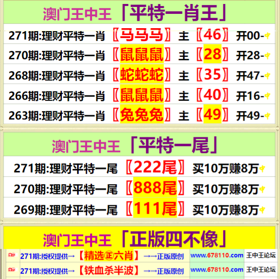 王中王精準(zhǔn)資料期期中澳門高手,精細(xì)定義探討_S32.239