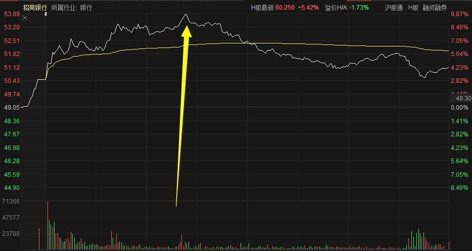 上證指數(shù)急漲急跌行情，市場波動下的機遇與挑戰(zhàn)，上證指數(shù)波動劇烈，機遇與挑戰(zhàn)并存的市場行情