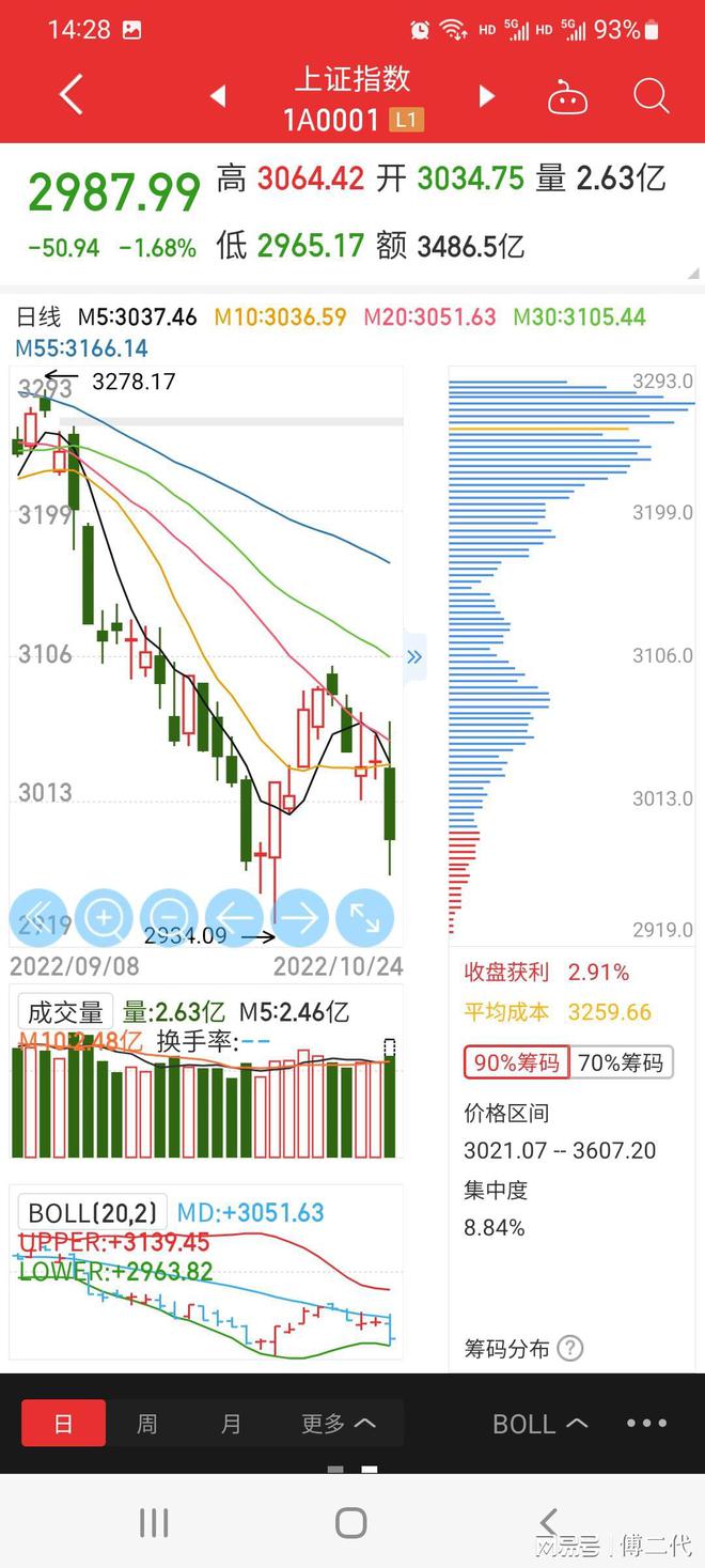 上證指數(shù)暴跌百點新，市場波動背后的深層原因與應(yīng)對策略，上證指數(shù)暴跌百點背后的深層原因及應(yīng)對策略