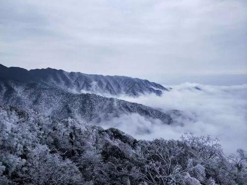 雪人股份目標價2024年，深度分析與展望，雪人股份2024年目標價深度分析與展望