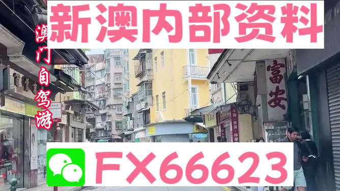 新澳精選資料免費(fèi)提供，助力學(xué)習(xí)與發(fā)展的強(qiáng)大資源，新澳精選資料助力學(xué)習(xí)成長(zhǎng)，免費(fèi)資源大放送