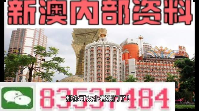 澳門內(nèi)部資料精準大全2023——警惕違法犯罪風險，澳門內(nèi)部資料精準大全背后的風險，警惕違法犯罪威脅 2023年警惕篇