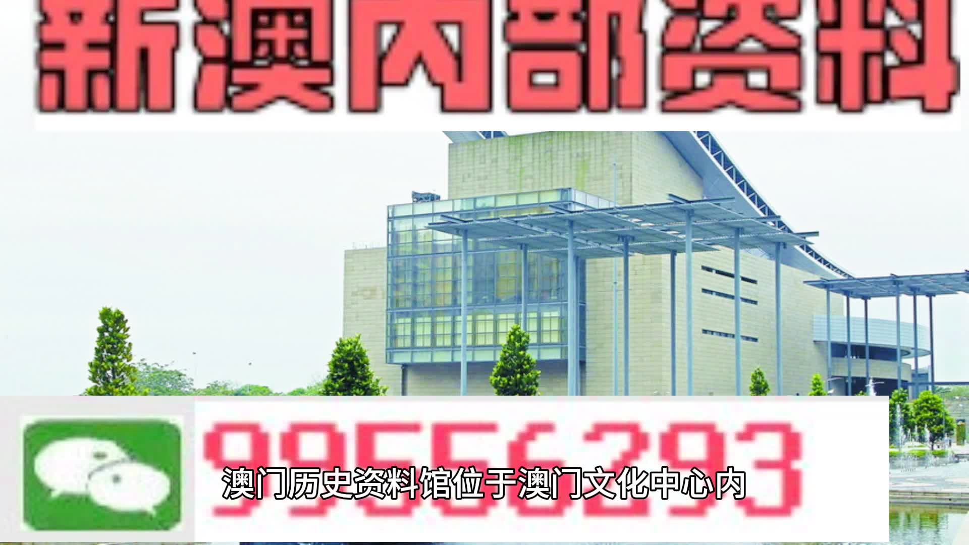 2024年新澳門天天開彩免費資料,經典解讀說明_精英版201.124