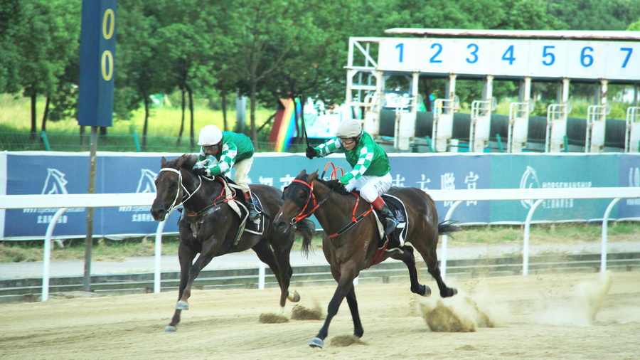 香港2024澳門特馬今晚開獎：賽馬界的巔峰對決