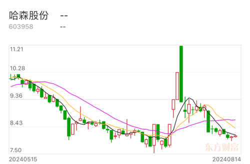 哈森股份上漲原因深度解析，哈森股份上漲原因深度探究