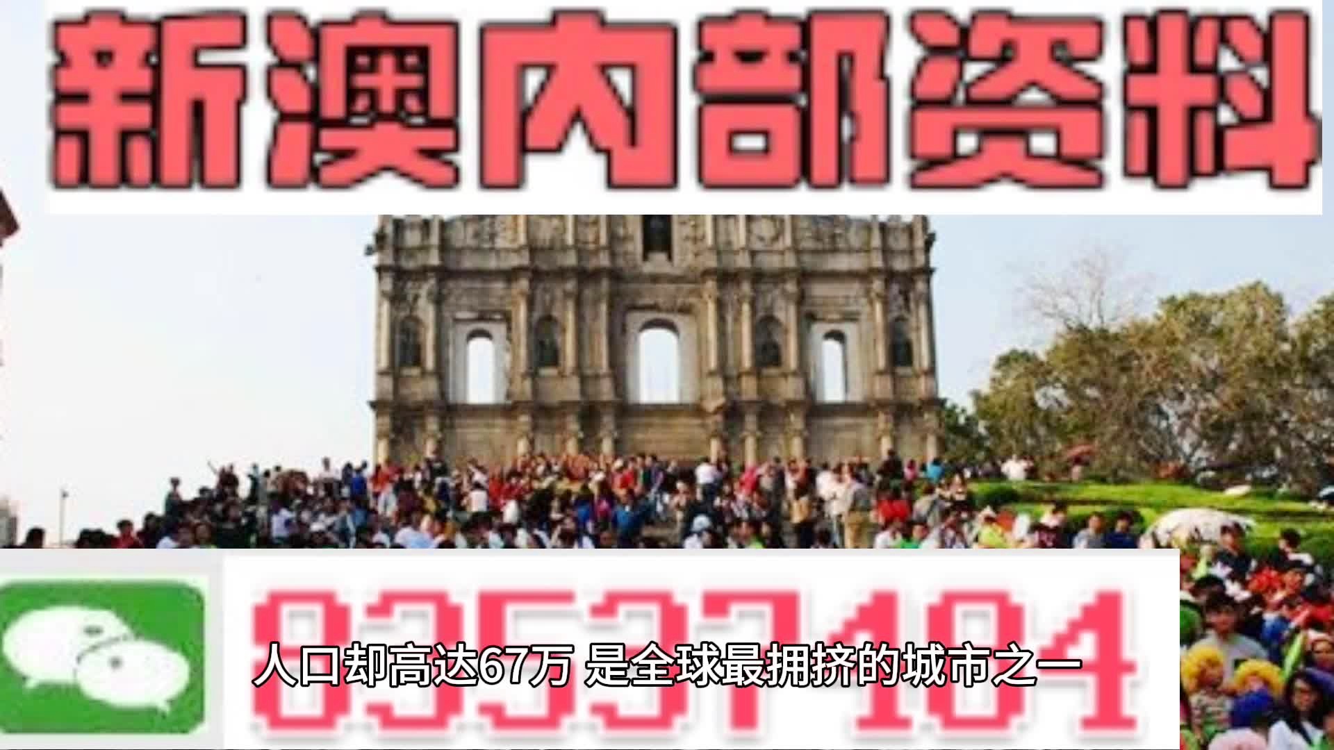 新澳門免費全年資料查詢，探索與解析，澳門全年免費資料查詢，深度探索與解析