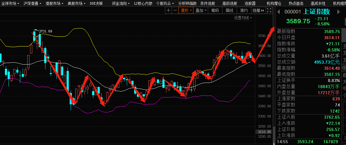 今日最新股票行情分析，今日股票行情深度解析