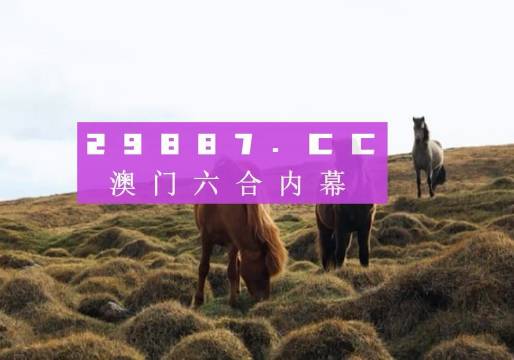 澳門彩票的奧秘，探索新開獎(jiǎng)結(jié)果背后的故事，澳門彩票背后的奧秘，探索新開獎(jiǎng)結(jié)果的神秘故事