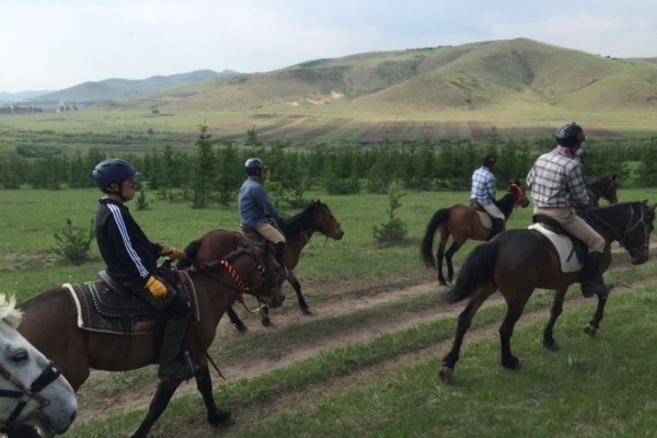 澳門特馬今晚開獎(jiǎng)，探尋彩票背后的故事與期待，澳門特馬今晚開獎(jiǎng)，探尋彩票背后的故事與期待之夜