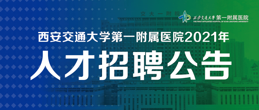 探索軍事人才招聘網(wǎng)官網(wǎng)，連接未來軍事精英的橋梁，軍事人才招聘網(wǎng)官網(wǎng)，連接未來軍事精英的橋梁