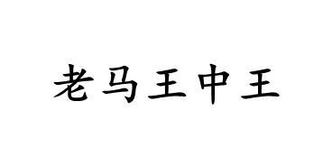 王中王一句解一肖王——探尋神秘文化符號(hào)背后的深意，探尋神秘文化符號(hào)王中王一句解一肖王背后的深意