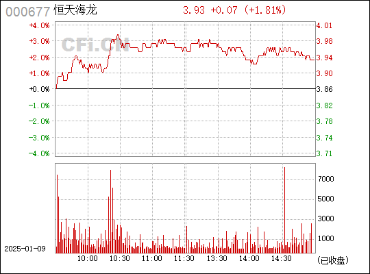 恒天海龍，探索企業(yè)轉(zhuǎn)型與創(chuàng)新的奧秘，恒天海龍，企業(yè)轉(zhuǎn)型與創(chuàng)新之路的奧秘探索