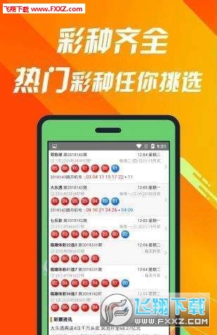 關(guān)于王中王504三肖的探討，王中王504三肖深度探討