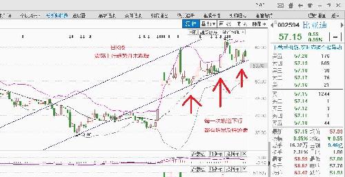 比亞迪股票分析，前景、風(fēng)險與投資機(jī)會，比亞迪股票前景、風(fēng)險與投資機(jī)會深度分析