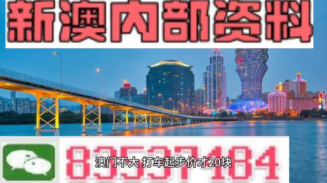 澳門未來展望，聚焦2025新澳門資料大全（第123期），澳門未來展望，聚焦新澳門資料大全（第123期展望至2025年）